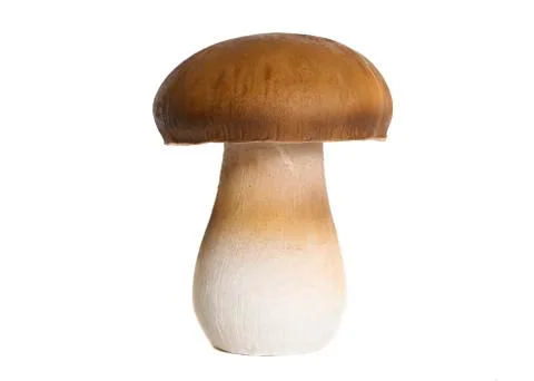 Ceramic champignon. White background Stock Photos