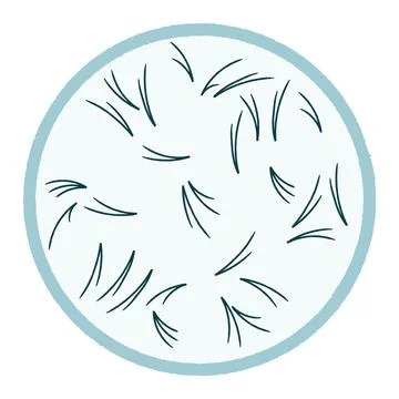 Ceramic, china serving dish, plate, pine needles isolated Stock Illustration