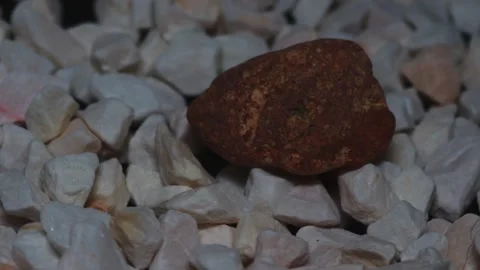 The ceramic coffee brewing the core coffees inside and the playing cards Stock Footage 253805909