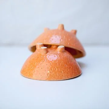 Ceramic cup in the form of half a grapefruit. Stock Photos