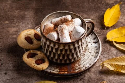 Ceramic cup with hot chocolate, marshmallows and cookies. Stock Photos