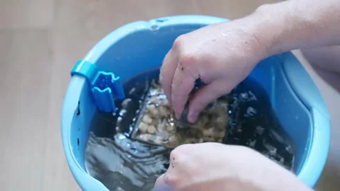Ceramic filter rings for aquarium in plastic box, person cleaning box in water Stock Footage 302401870
