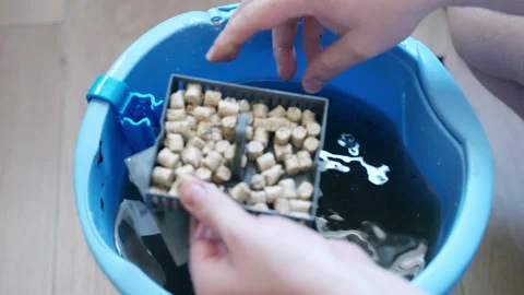 Ceramic filter rings for aquarium in plastic box, person cleaning box in water Stock Footage 305049817