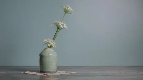 Ceramic Flower Vase with Copy Space for Text 스톡 동영상 344346037