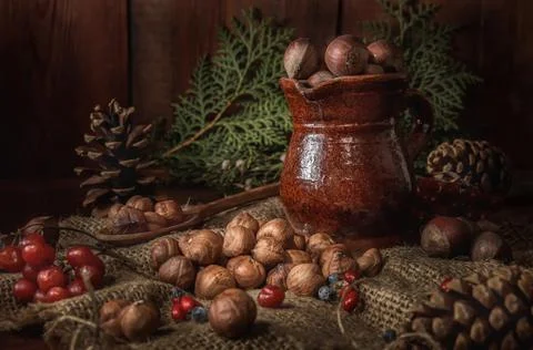 Ceramic jug, hazelnuts and kernels on a dark wooden background Stock Photos