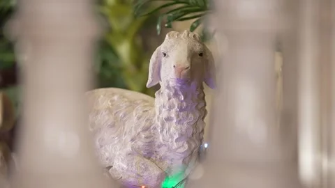 Ceramic Lamb Figurine Behind Balusters in a Nativity Scene Stock Footage 312748143