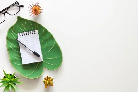 Ceramic monstera leaf with notebook. View from above. Copy space. Succulents Stock Photos