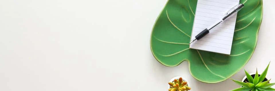Ceramic monstera leaf with notebook. View from above. Copy space. Succulents Stock Photos
