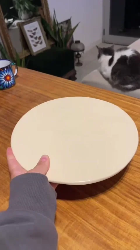 Ceramic Plate Design Tries to Hold Up - 12 May 2025 Stock Footage 310854445