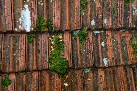 Ceramic roofing tiles Stock Photos