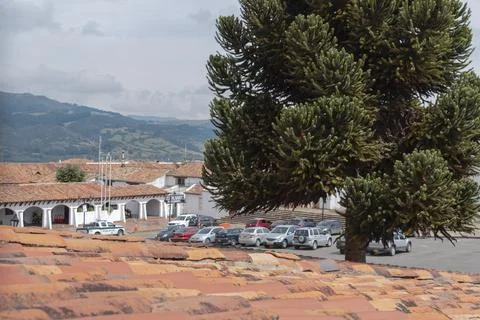 Ceramic rooftop view of a great tree and guatavita parking car 스톡 사진