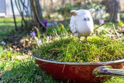 Ceramic sheep on green grass which grows in red frying pan Stock Photos