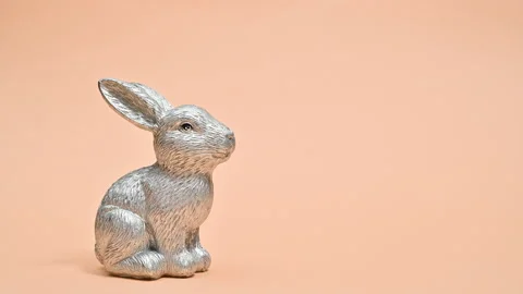 Ceramic silver Easter rabbit appear on pastel orange background. Stop motion 動画素材 171675363