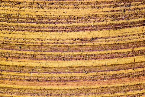 Ceramic surface with irregular grooves into the arc Stock Photos