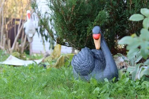 Ceramic Swan Stock Photos