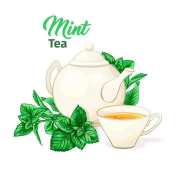 Ceramic Teapot and Tea cup with Mint Tea and Leaves. Isolated and Detailed. Stock Illustration