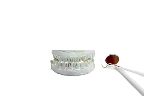 Ceramic teeth model with dental tools isolated in white background. Stock Photos