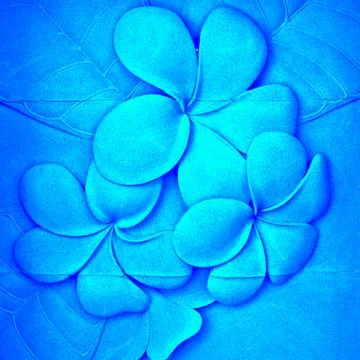 The ceramic texture of frangipan Stock Illustration