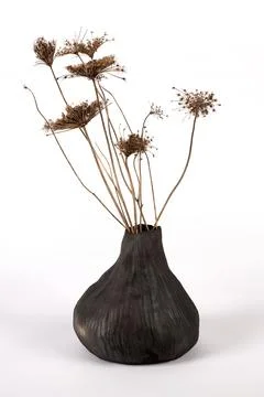 Ceramic vase on white background Stock Photos