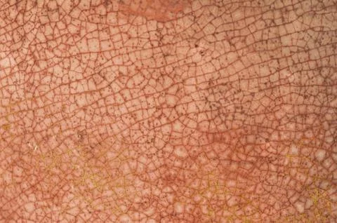 Ceramics Stock Photos