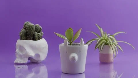 Ceramics Stock Photos