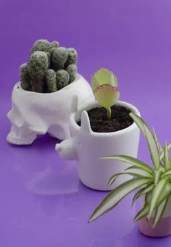 Ceramics Stock Photos