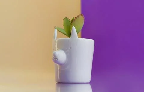 Ceramics Stock Photos