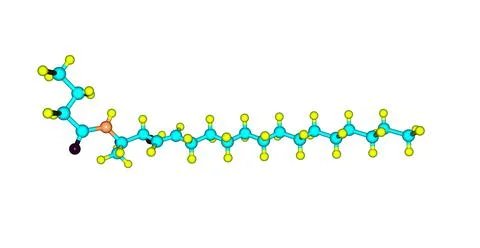 Ceramide molecular structure isolated on white Stock Illustration