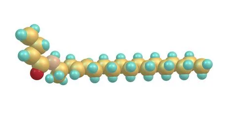 Ceramide molecular structure isolated on white Stock Illustration
