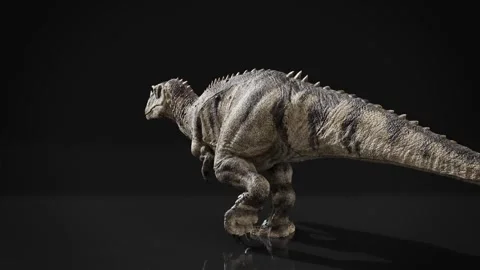 Ceratosaurus dinosaur 3D model walking gait against black background Stock Footage 333464414