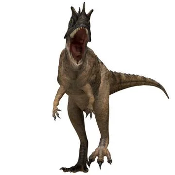 Ceratosaurus dinosaur profile Stock Illustration