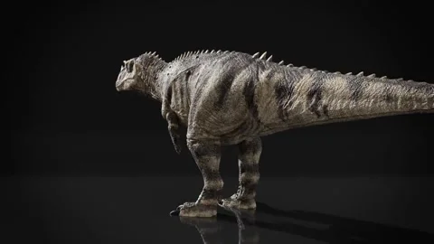 Ceratosaurus dinosaur spinning 3D CGI model 動画素材 333464405