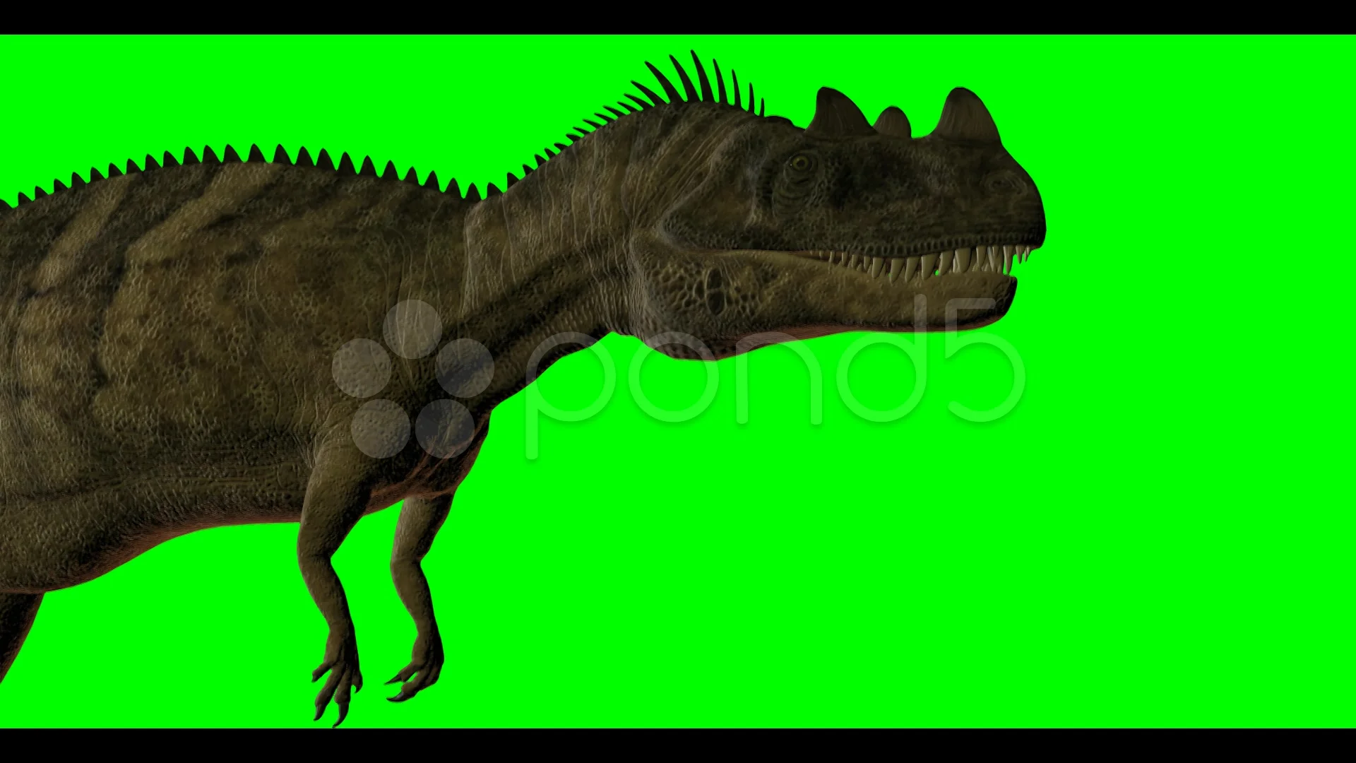 Walking With Dinosaurs Ceratosaurus