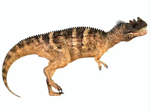 Ceratosaurus over White Stock Illustration