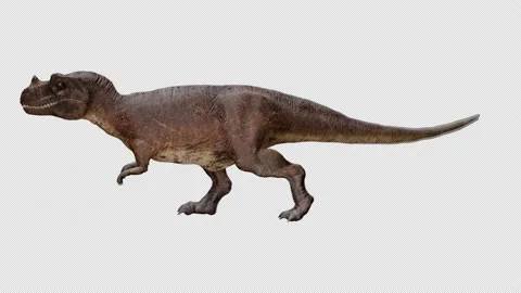 Ceratosaurus Walking Loop – Left Angle, Alpha Channel, 3D Dinosaur Animation Stock Footage 205344584