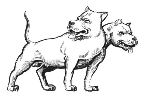 Cerber dog Illustrazione stock