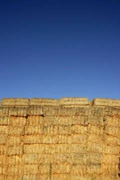Cereal barn with square shape stack on columns Stock Photos