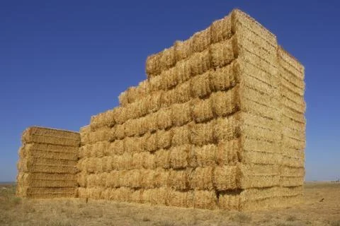 Cereal barn with square shape stack on columns Stock Photos