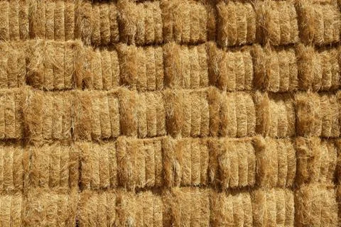 Cereal barn with square shape stack on columns Stock Photos