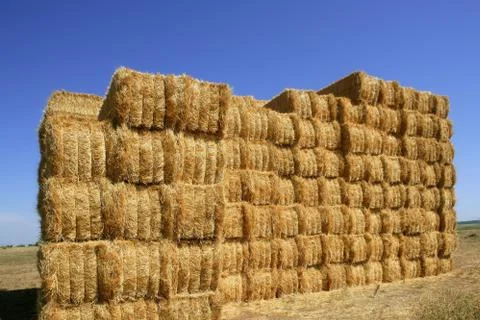 Cereal barn with square shape stack on columns Stock Photos