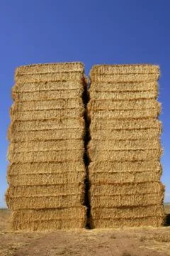 Cereal barn with square shape stack on columns Stock Photos