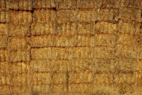 Cereal barn with square shape stack on columns Stock Photos