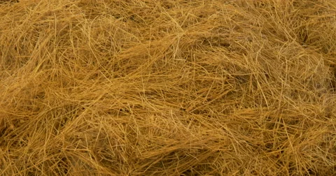 Cereal bread pasta market Stock Footage 52467567