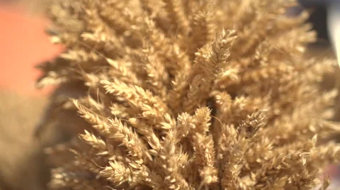 Cereal close up slow motion Vidéo 47222088