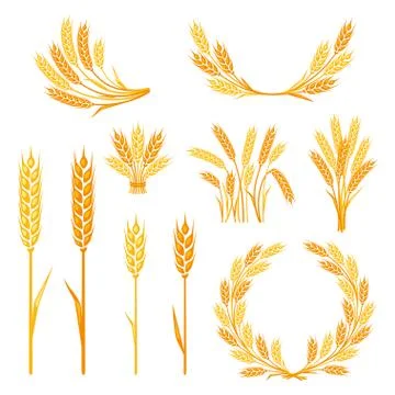 Cereal collection elements for design 스톡 일러스트