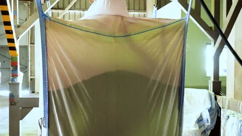 Cereal crops: rye, wheat, barley, are being poured into a big bag at factory. 4K 库存影片 112994437