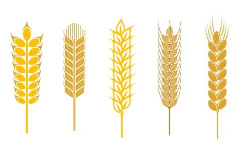 Cereal design elements 스톡 일러스트