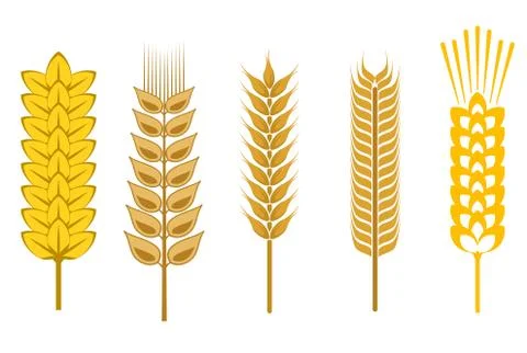 Cereal design elements 스톡 일러스트