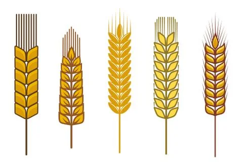 Cereal design elements 스톡 일러스트