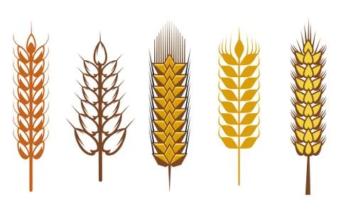 Cereal design elements 스톡 일러스트